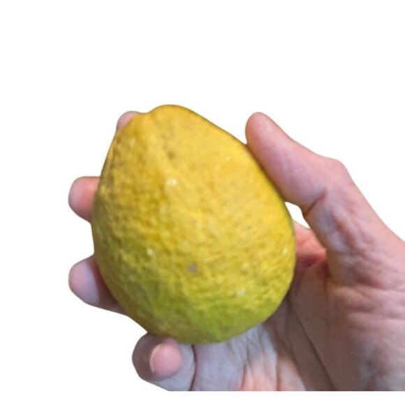 Vintage Antique stone alabaster lemon  fruit decor mcm heavy 3.5" realistic - Picture 4 of 6